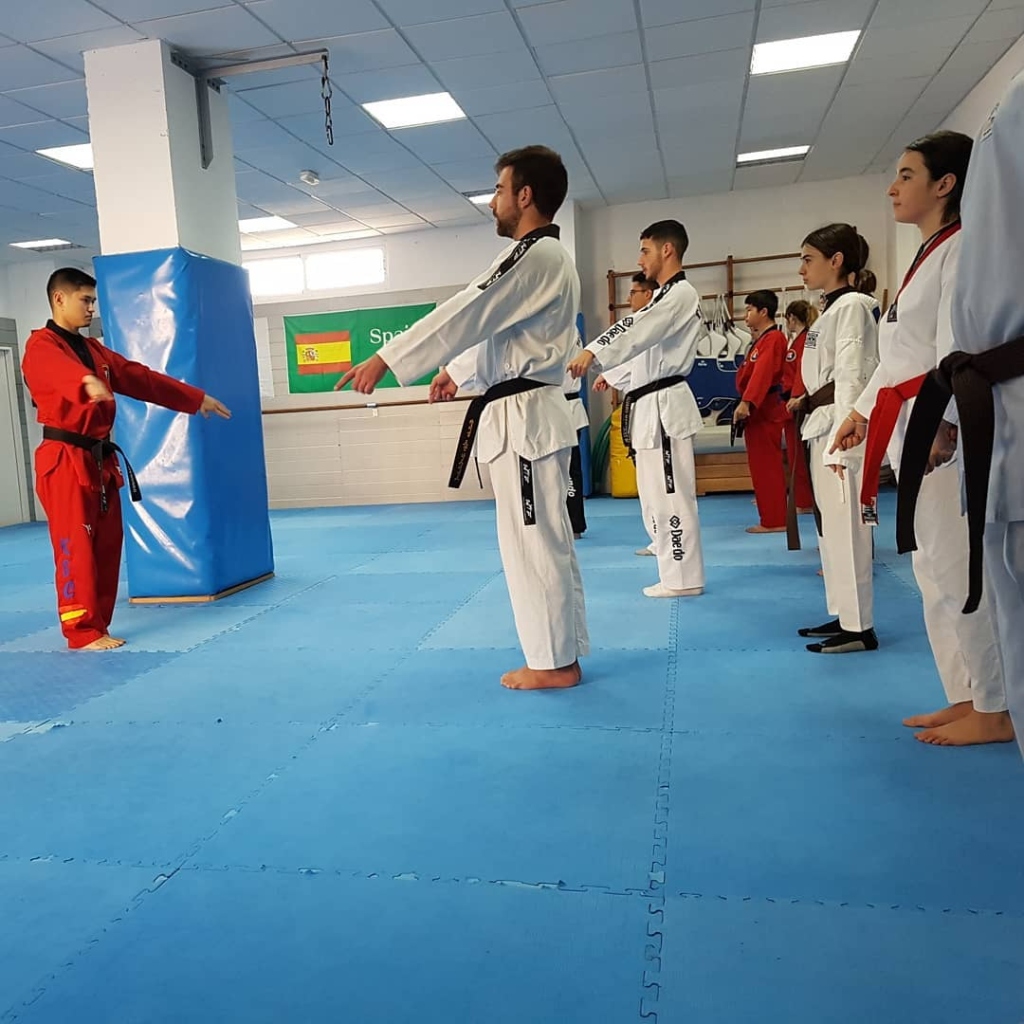 hapkido juvenil-adulto